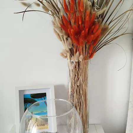 Joli Studio Vue Port Daire *